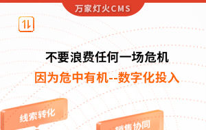 不要浪費任何一場危機，因為危中有機--數字化投入